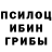Псилоцибиновые грибы мицелий It's Snow