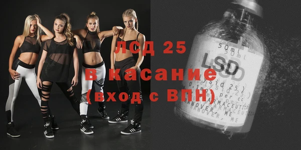ГАЛЛЮЦИНОГЕННЫЕ ГРИБЫ Аркадак