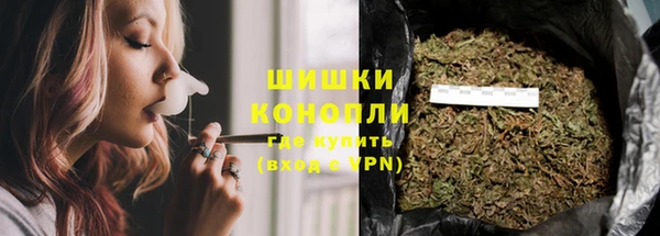 PSILOCYBIN Армянск