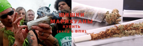 PSILOCYBIN Армянск