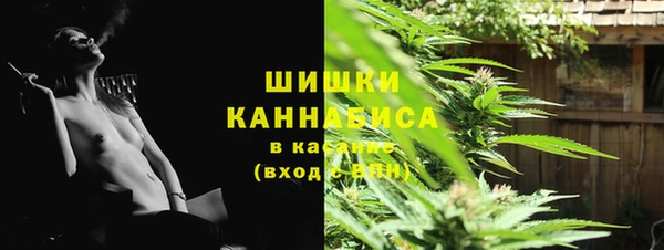 ГАЛЛЮЦИНОГЕННЫЕ ГРИБЫ Аркадак