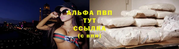 PSILOCYBIN Армянск