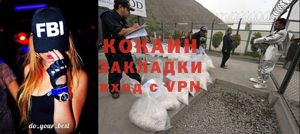 ГАЛЛЮЦИНОГЕННЫЕ ГРИБЫ Аркадак