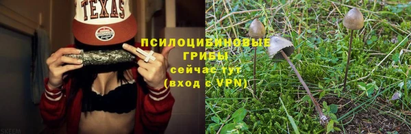 ГАЛЛЮЦИНОГЕННЫЕ ГРИБЫ Аркадак