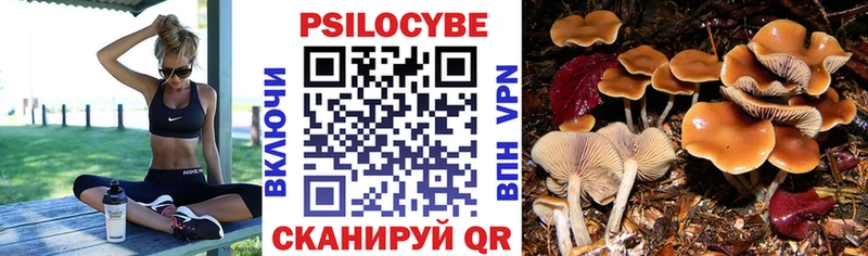 Галлюциногенные грибы GOLDEN TEACHER hydra как войти Никольское купить